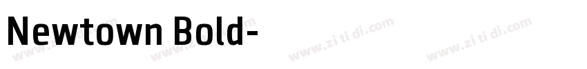 Newtown Bold字体转换